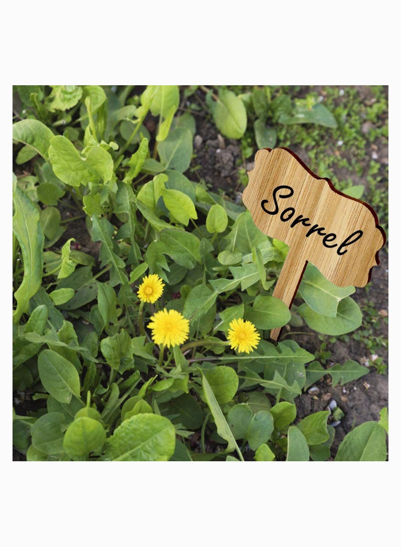 SOLARAE Plant Tags, T- Type Wooden Plant Markers with Pen for Plants Nursery Seed Garden Greenhouse Supplies, Herbs Flowers Vegetables Potted (6.3x10cm) 60 PCS - Image 5