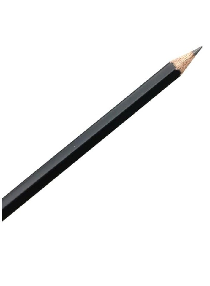 دومس علبة أقلام رصاص كاربون آر تي من دومس 12 قطعة (أقلام رصاص فقط) - Image 2