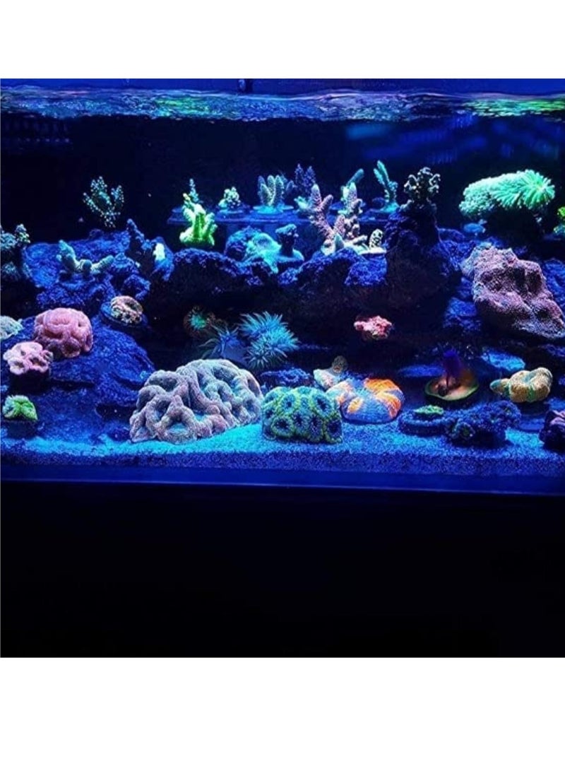 ڤسيل24 رمل حوض السمك الأزرق النابض بالحياة 20-40 ميكرومتر: رمل عالي الجودة ذو حبيبات دقيقة لتجميل أحواض السمك، وتعزيز صفاء المياه، وإنشاء بيئات طبيعية للأسماك والحياة البحرية - Image 4