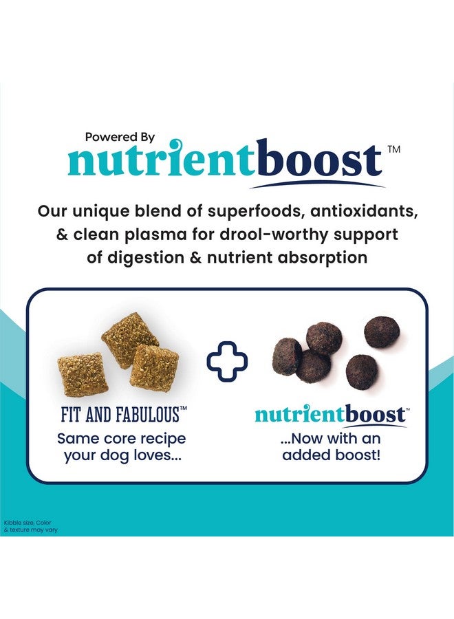 Solid Gold Dry Dog Food for Adult & Senior Dogs - Made with Real Chicken, Probioitcs, & Omega 3 Fish - Grain Free Dry Dog Food for Weight Management & Better Digestion - Nutrientboost - 3.75 LB - Image 2