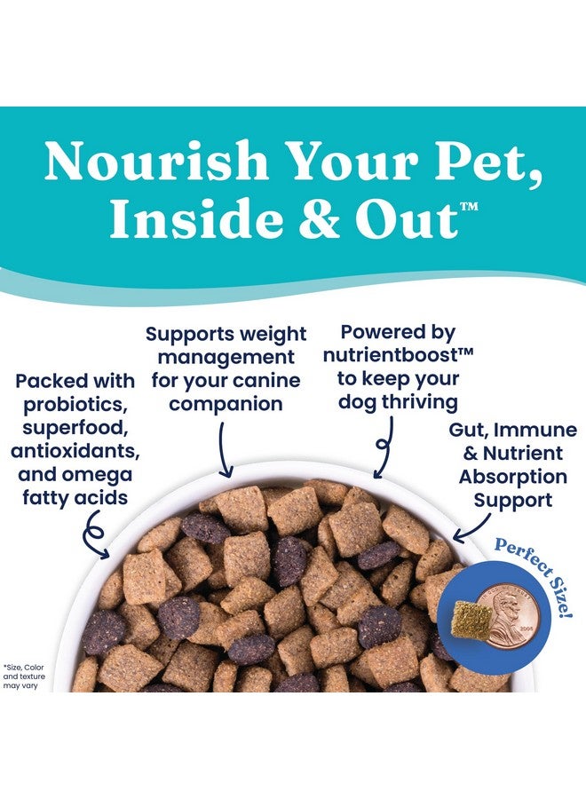 Solid Gold Dry Dog Food for Adult & Senior Dogs - Made with Real Chicken, Probioitcs, & Omega 3 Fish - Grain Free Dry Dog Food for Weight Management & Better Digestion - Nutrientboost - 3.75 LB - Image 3