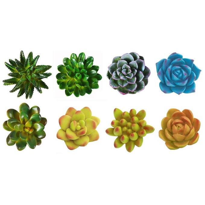 COCOME FUNNY 3D RESIN SUCCULENT FRIDGE REFRIGERATOR MAGNETS SET OF 8