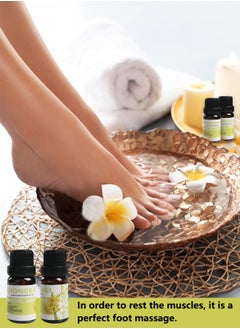 Generic 6-pack Aromatherapy Essential Oil Humidifier Essential Oil Six Scents Multi-color Gift Set Soothing and Relaxing Body Aromatherapy Essential Oil Gifts for Men and Women  - Image 5