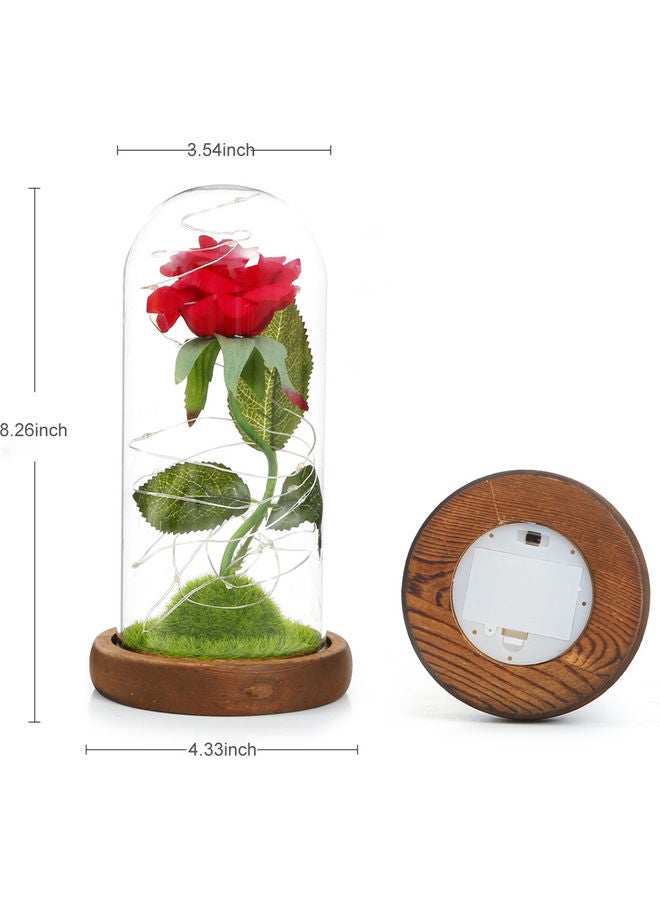 Loquat Artificial Rose Flower with LED Lights Glass Dome Multicolour