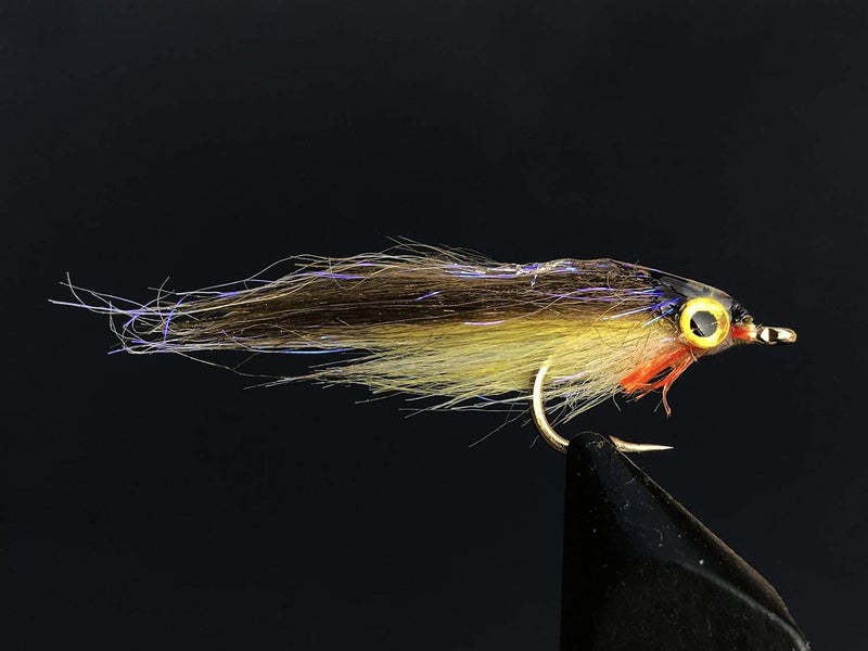 Tigofly 12 pcs Brown Olive UV Polar Fry Slowly Sinking Salmon Trout Steelhead Minnow Fly Fishing Flies Lures Fly Set-Size #8 - Image 4