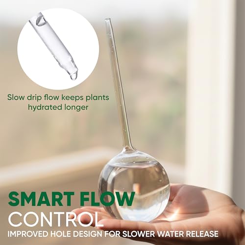 Mission Gallery Clear Plant Watering Globes Set of 6 - Small Self Watering Globes for Indoor & Outdoor Plants - Automatic, Glass Watering Bulbs for Daily Use, Plant Watering Devices - Image 4