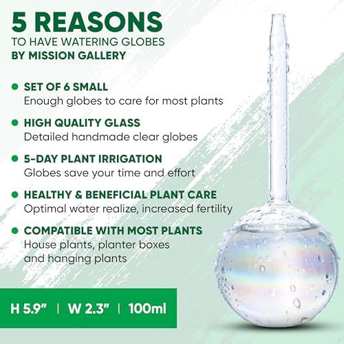 Mission Gallery Clear Plant Watering Globes Set of 6 - Small Self Watering Globes for Indoor & Outdoor Plants - Automatic, Glass Watering Bulbs for Daily Use, Plant Watering Devices - Image 3