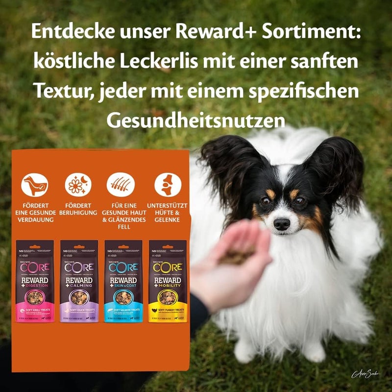 Wellness CORE Dog Dry Treats Reward+ Skin & Coat Salmon 170g - Image 5