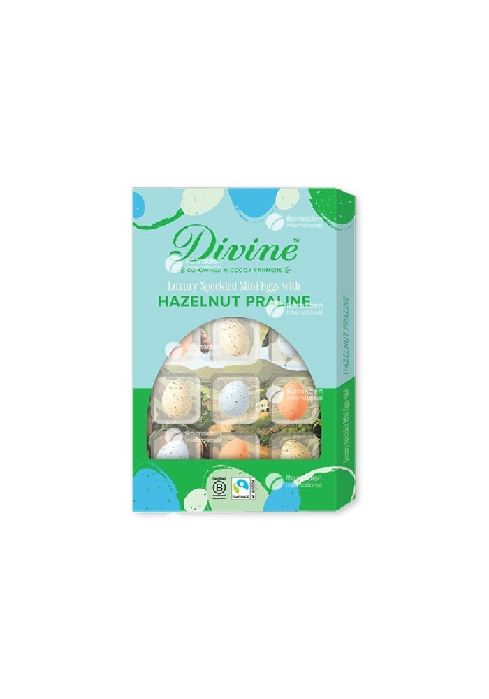 Milk Chocolate Egg, Hazelnut - 150g, UK