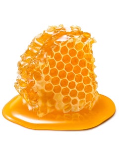 earth to skin Earth To Skin Honey Manuka Anti-Aging Face Cleanser, Cleanses, Balances & Hydrates, Daily Face Wash for All Skin Types (4.7 Fl Oz)  - Image 4