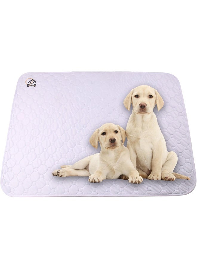 Mumoo Bear Reusable Dog Training Pads, 1 Pack Washable puppy training pads, Super Absorbent Waterproof Dog Mat Pee Pads for Dogs, Fast Drying Training Pads for Home, Car, Travel (100cm*70CM) - Image 1