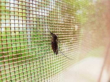 Artlicious 120 GSM Fiberglass Windows Mosquito Net Roll for Balcony Door etc. DIY Cut to Any Size, for Small & Big Windows. Highly Durable and Best in Class Size (White(5x15ft)) - Image 5