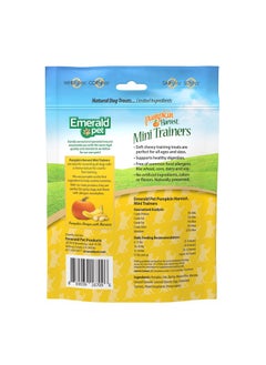 Emerald Pet Pumpkin Harvest Mini Trainers Pumpkin with Banana Chewy Dog Treats Made in The USA, Pumpkin with Banana 6oz (Banana Mini) - pzsku/Z0ACC1C733FE30B757983Z/45/_/1737031492/3f3de168-2bad-43f8-a0ff-c145f9e46ceb