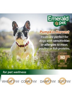 Emerald Pet Pumpkin Harvest Mini Trainers Pumpkin with Banana Chewy Dog Treats Made in The USA, Pumpkin with Banana 6oz (Banana Mini) - pzsku/Z0ACC1C733FE30B757983Z/45/_/1737031528/0498921d-729e-4a03-ab75-7b8cde2f3a23