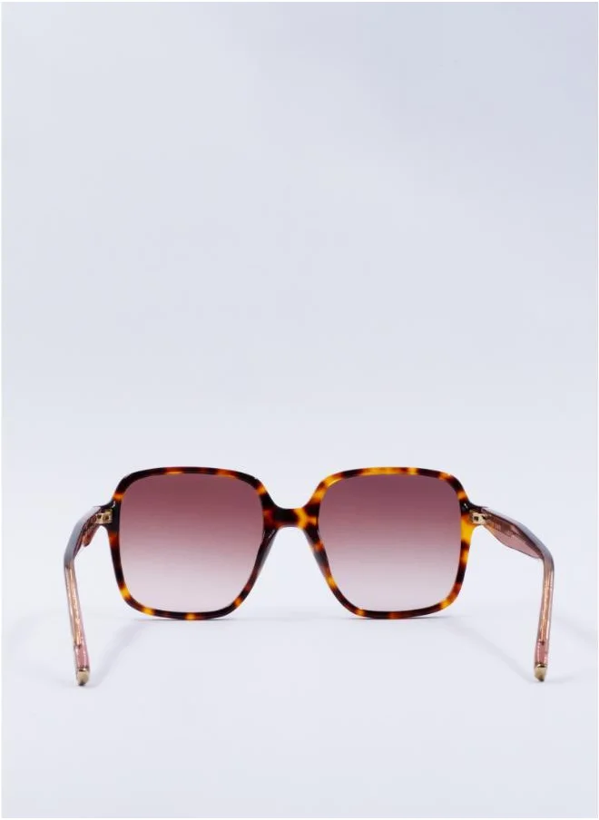 تيد بيكر Romey Square Sunglasses