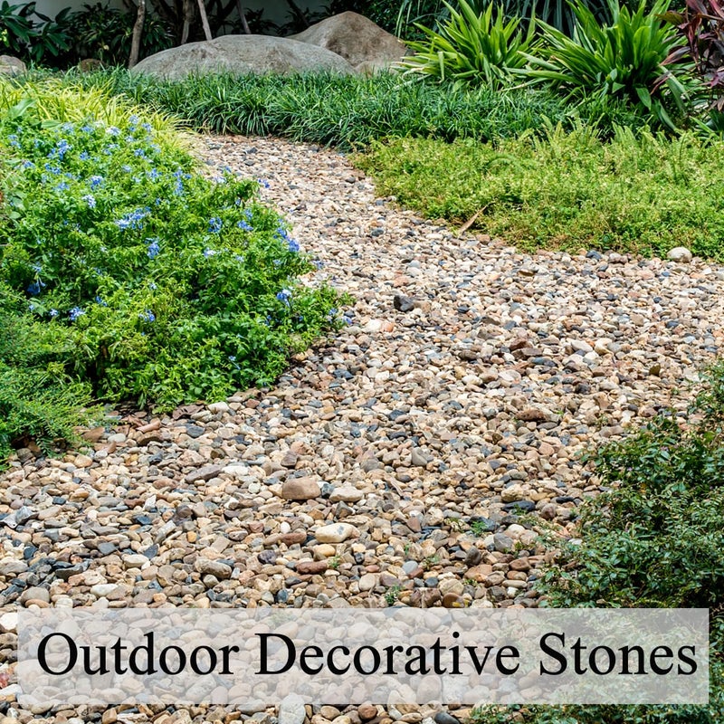 FANTIAN 5lbs Aquarium Gravel, Pea Gravel for Indoor Plants,1/4 Inch Decorative River Rocks for Aquarium Succulent Vase Fish Tank Gravel Plant Soil Cover and Outdoor Landscaping Rocks - Image 4
