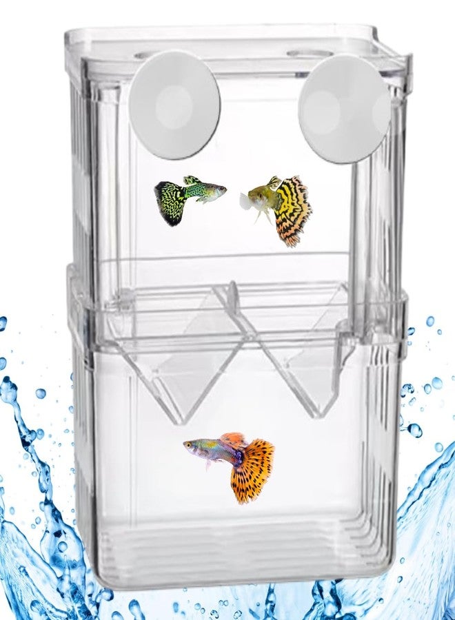 Scroll Store Aquarium Double Deck Isolation Box | Breeding Box for auqarium Fish and Shrimp (Small) - Image 3