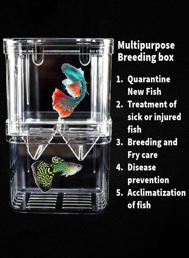 Scroll Store Aquarium Double Deck Isolation Box | Breeding Box for auqarium Fish and Shrimp (Small) - Image 2