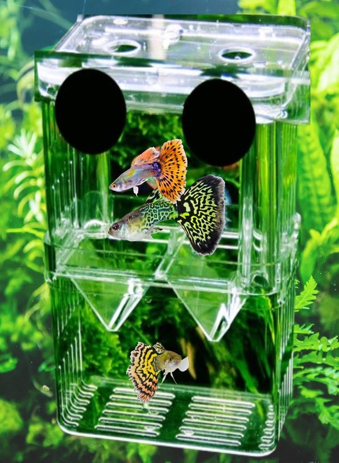 Scroll Store Aquarium Double Deck Isolation Box | Breeding Box for auqarium Fish and Shrimp (Small) - Image 1