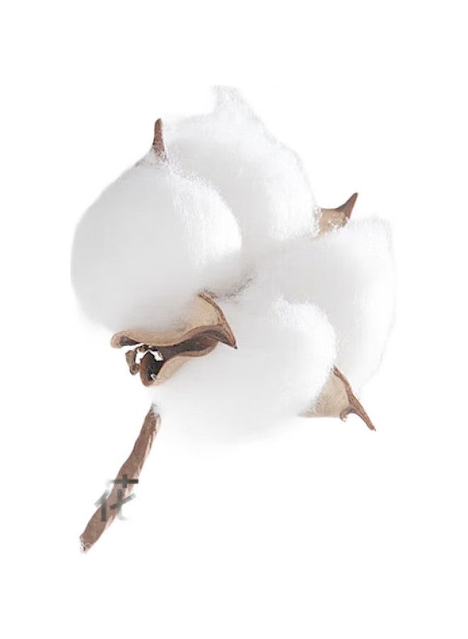 THREEGUN Simple Series Women'S Cotton Socks 100% Cotton Socks Breathable Mid-Calf Socks - Image 1