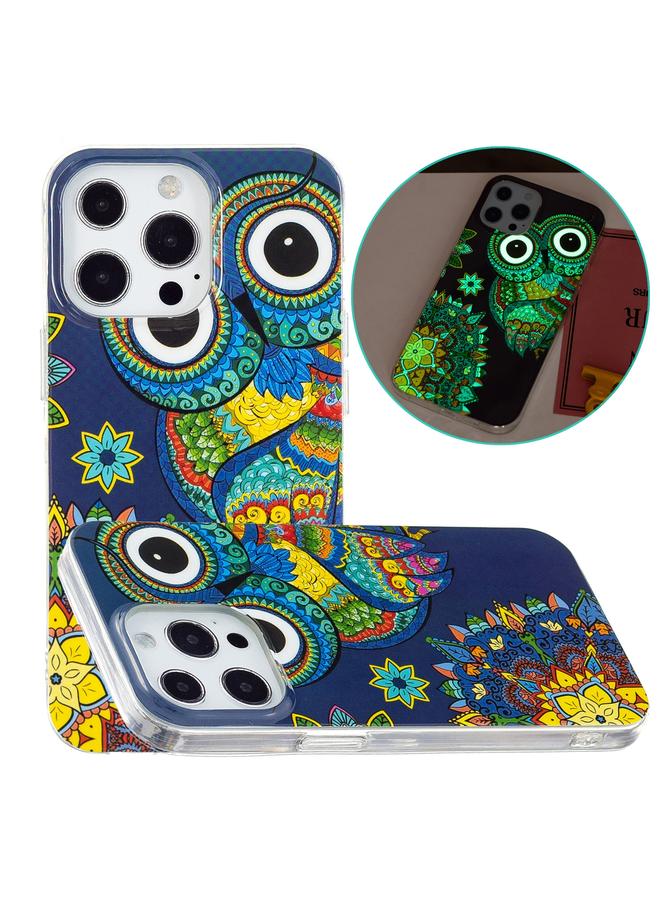 S-TOP Case For iPhone 13 Pro Luminous TPU Soft Protective Case - Image 1