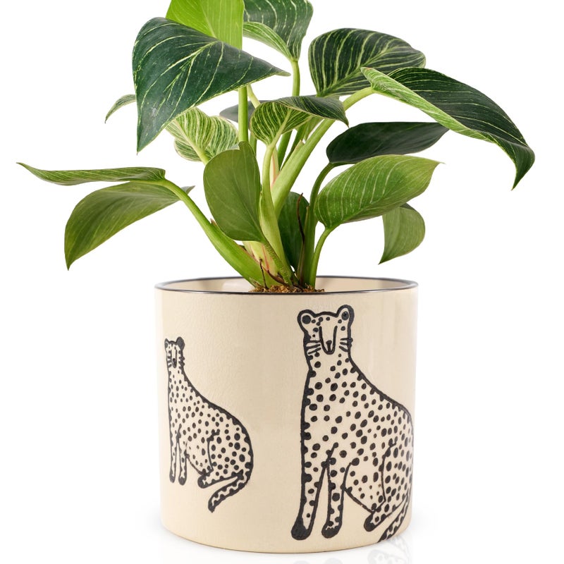 STHIE 5 Inch Ceramic Planters for Indoor Plants, Funny Small Plant Pots with Drainage, Unique Decorative Cute Flower Pot Panthers Round Flowerpots - Image 1
