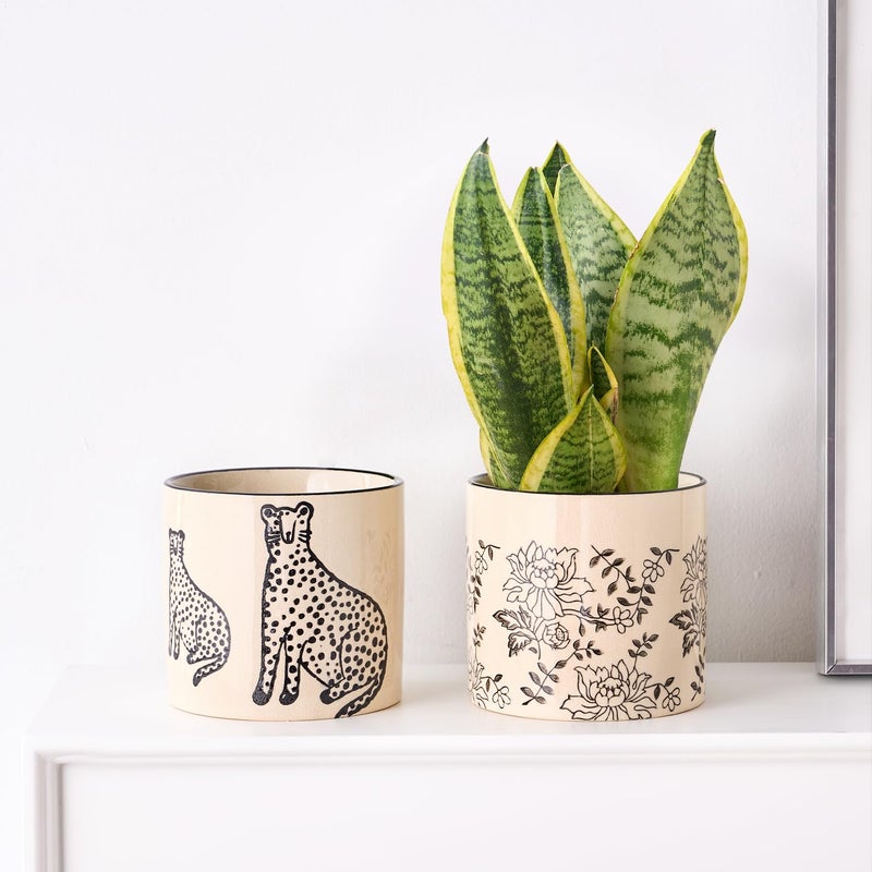 STHIE 5 Inch Ceramic Planters for Indoor Plants, Funny Small Plant Pots with Drainage, Unique Decorative Cute Flower Pot Panthers Round Flowerpots - Image 4