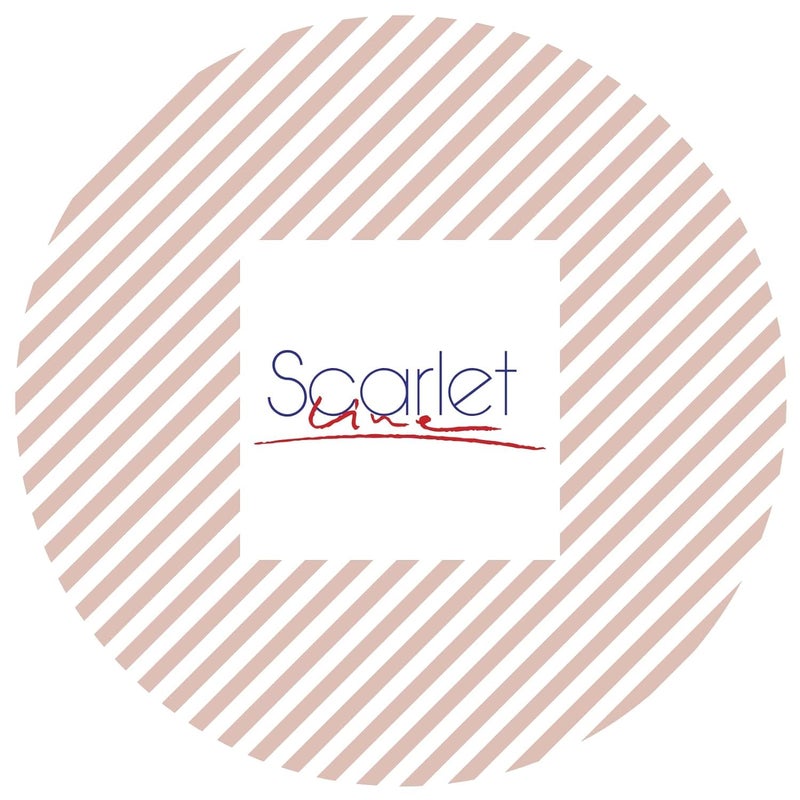 Scarlet Line Professional 9 Row Flat Hair Styling Brush for with Anti Slip Handle with Ball Tip Nylon Bristles for Women n MenShell Color - Image 5