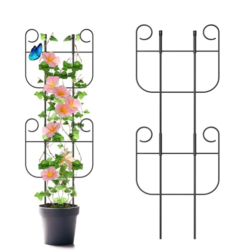 Blingluck 2 Pack Trellis for Climbing Plants Indoor Expandable Small Metal Trellis for Potted Plants Flowers Vine Ivy Sturdy Houseplant Pothos Plant Climber Support - Image 1