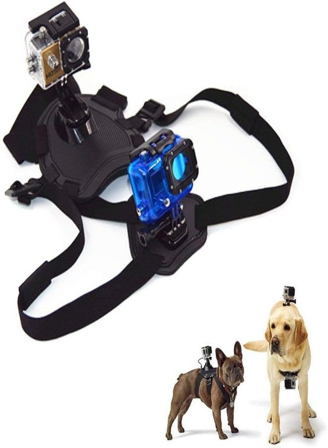 Action Pro Adjustable Dog Harness Chest and Back Mount Compatible with GoPro Hero 13/12/11/10/9/8/7/6/5/4/3+/3/SJCAM/YI/4k/EKen Action Camera,Black - Image 5