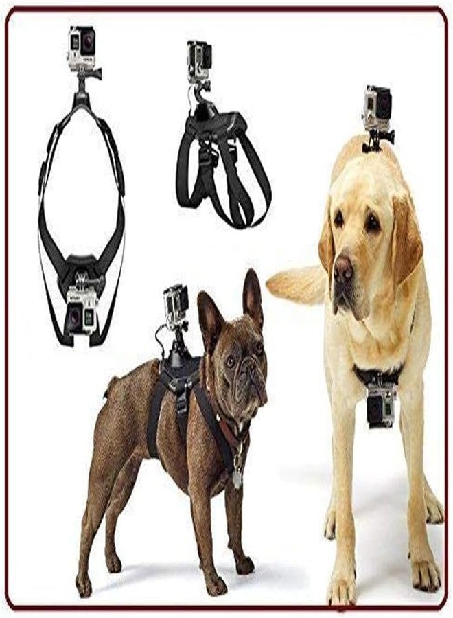 Action Pro Adjustable Dog Harness Chest and Back Mount Compatible with GoPro Hero 13/12/11/10/9/8/7/6/5/4/3+/3/SJCAM/YI/4k/EKen Action Camera,Black - Image 4