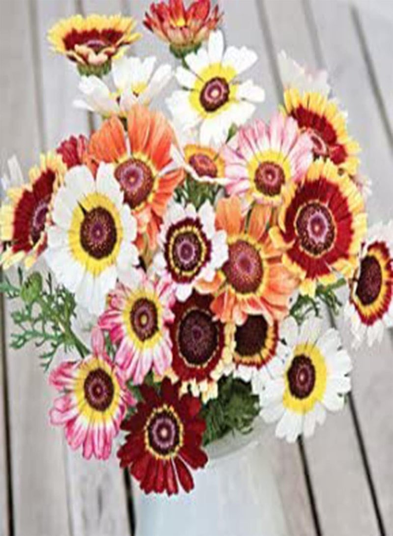 GGOOT seeds 10Pcs/Bag Vibrant Painted Flower seeds Survive Easily Charming Garden Gifts Grass seeds Outdoors Multicolor - Image 5