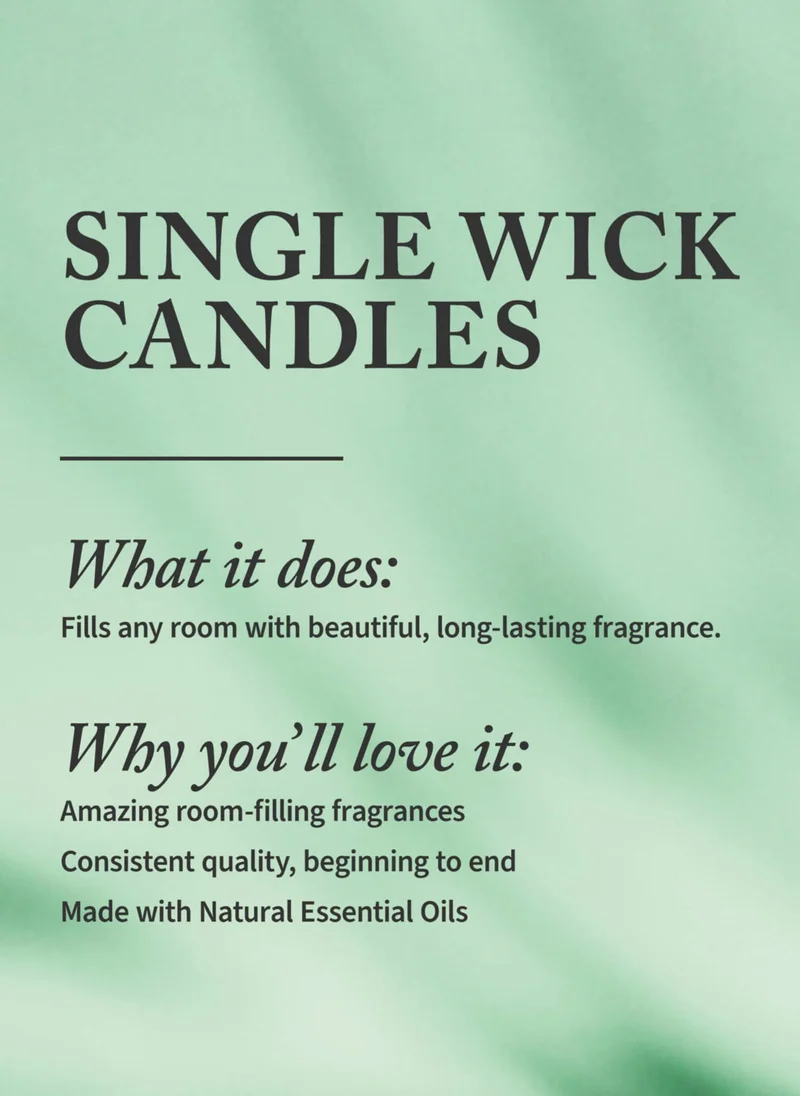 Bath & Body Works Into The Night Single Wick Candle