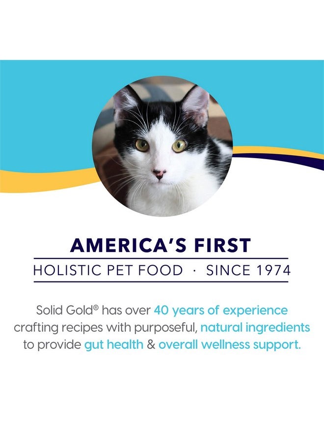 solid gold - Solid Gold Bone Broth Cat Food Topper - Lickable Wet Cat Food with Protein Shreds for Hydration - Easy to Serve Wet Cat Food Gravy Bone Broth for Cats - Healthy Cat Snacks Treats - Chicken - 12 Pack - Image 1