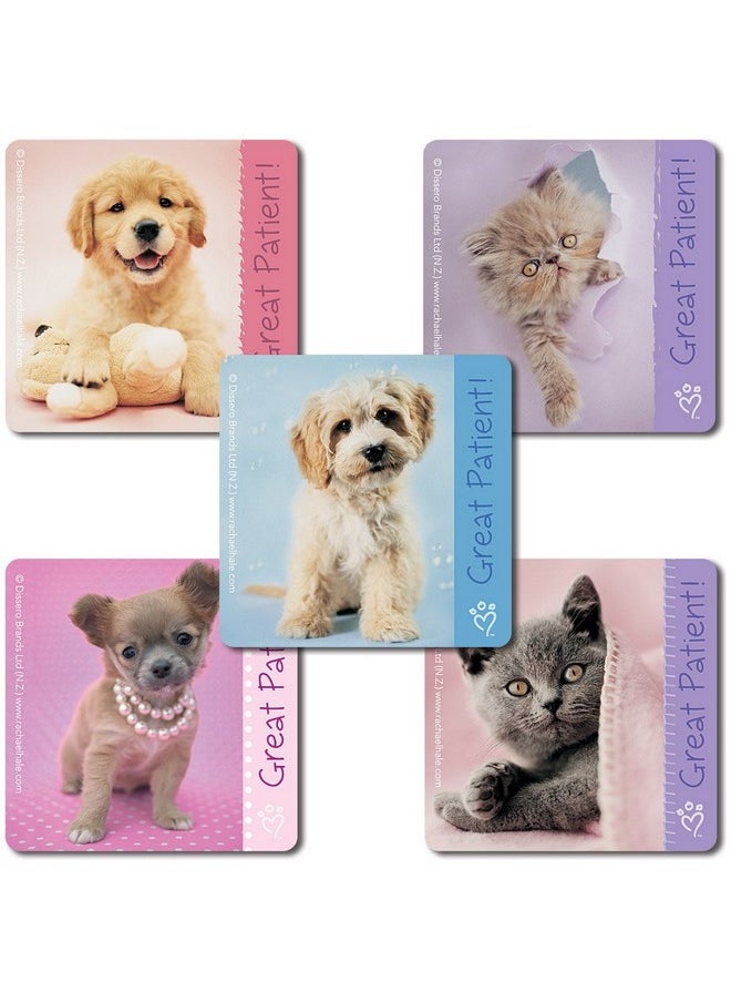 SmileMakers - Rachael Hale Patient Stickers 100 Per Pack - Image 1