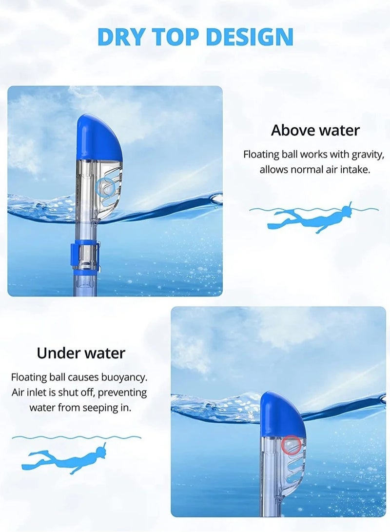 ارواق مجموعة قناع الغوص القابل للطي مع نظام سنوركل مانع للضباب وجاف بالكامل للسباحة للبالغين والأطفال بحجم L/XL - Image 3