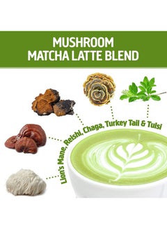 Om Mushroom Superfood Matcha Latte Blend Mushroom Powder 8.47 Ounce Canister 30 Servings Green Tea Lion'S Mane Reishi Chaga Turkey Tail Focus & Stress Support Supplement  - Image 5