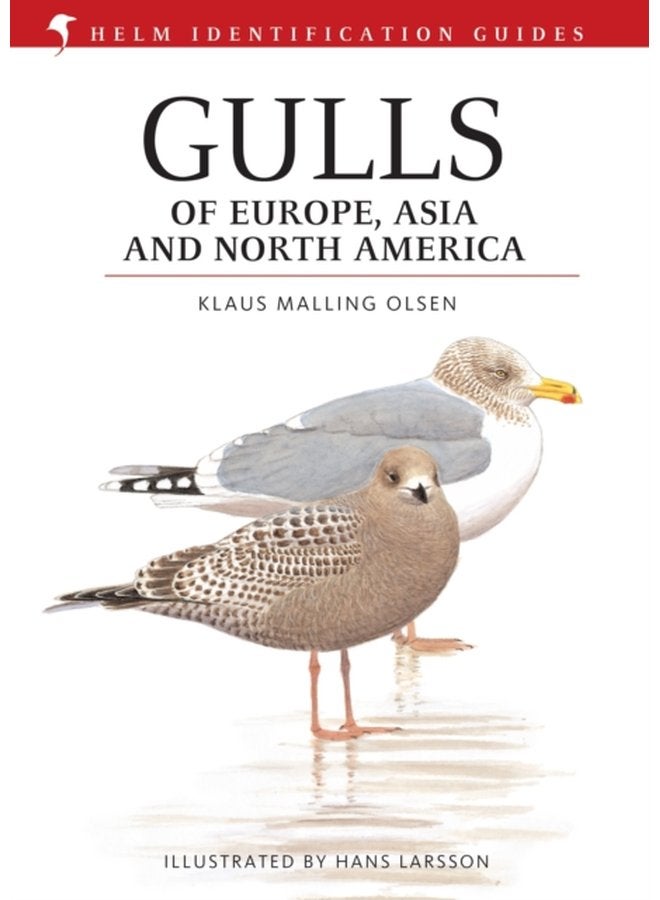 Gulls of Europe Asia and North America - Hardback