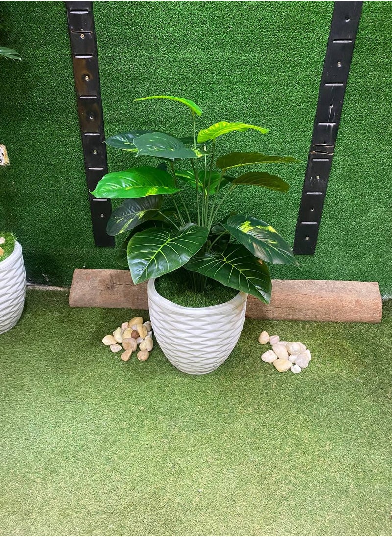 Generic Artificial pothos tree 