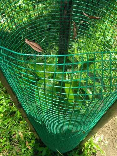 MESH MASTERS PVC Coated Weld Wire Garden Fencing Iron net with12MM Anti Bird 4feet/20feet Netting Uv Stablized with 6 Months Guarantee Free 1 Cutter,100 PVC Wire Tags - Image 4