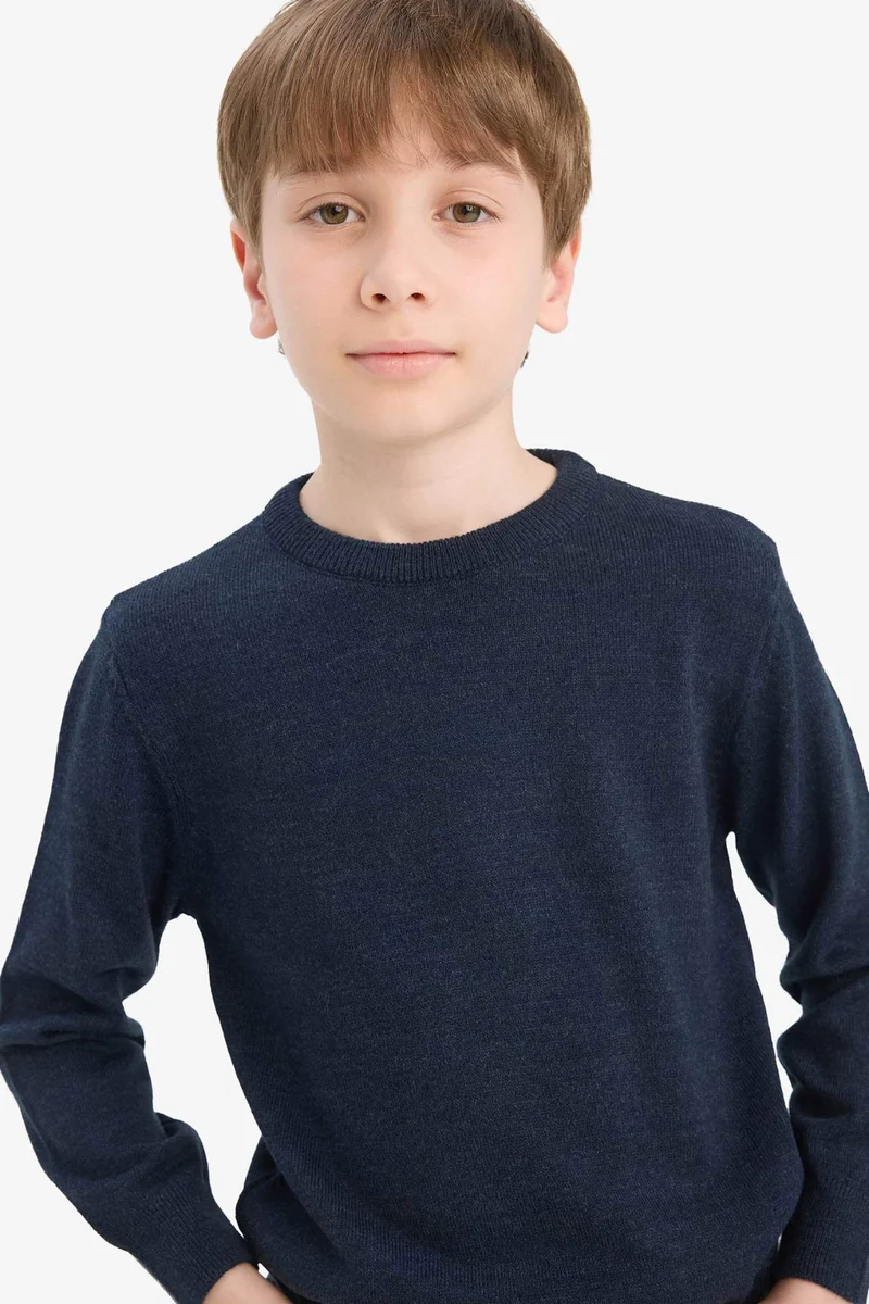ديفاكتو Boy Regular Fit Crew Neck Knit Pullover