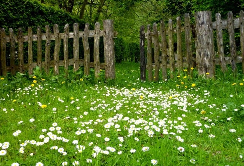 AOFOTO 8x6ft Spring Garden Daisy Flower Backdrop Rustic Wood Fence Summer Meadow Photography Background Forest Wonderland Grass Florets Country Hiking Suburbs Picnic Girl Boy Scouts Photo Studio Props