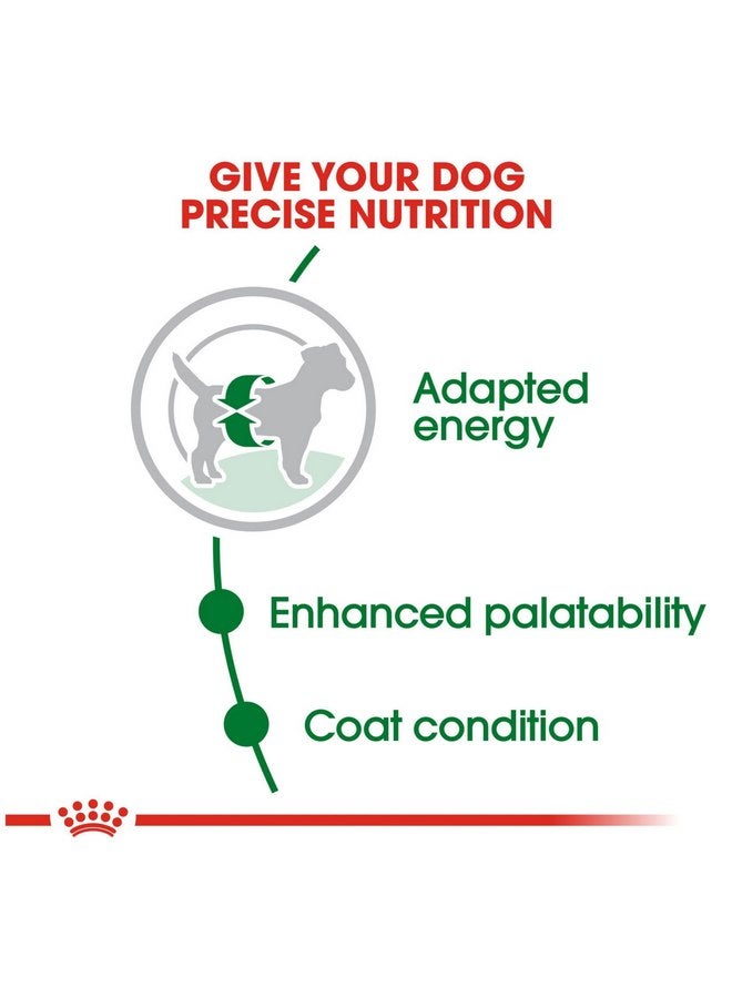 رويال كانين طعام جاف للكلاب البالغة من السلالات الصغيرة من رويال كانين، كيس 2.5 رطل - Image 3