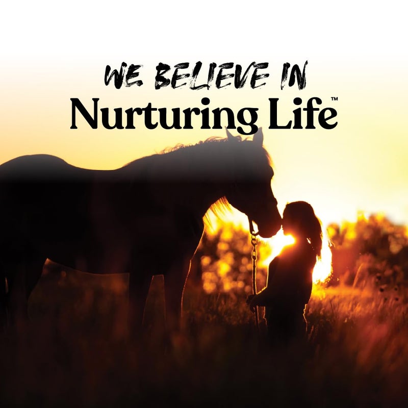 Manna Pro Bite-Size Nuggets for Horses - Pocket Sized Training Horse Treats - Apple Flavored Treats - Packs with Vitamins & Minerals- Great Taste Guaranteed - 4lbs - Image 4