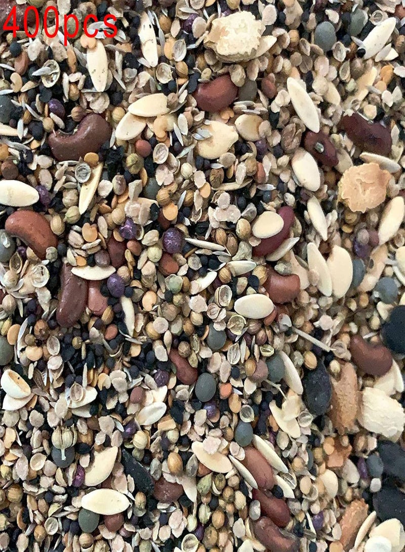 GGOOT Seed for Planting,400Pcs/Set Vegetable Fruit Flower Seeds 20-Species Garden Yard Farm DIY Plant Decor-Vegetable Fruit Flower Seeds - Image 1