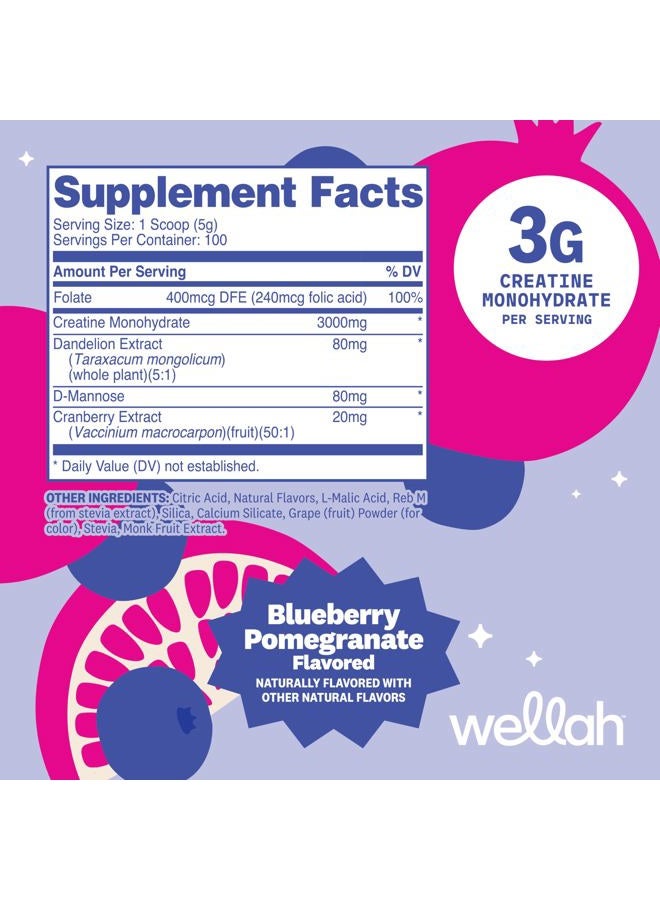 Wellah Pump-It-Up Creatine (100 Servings, Blueberry Pomegranate) - Creatine Monohydrate with Dandelion, Uva Ursi, & Cranberry Extract - Image 2