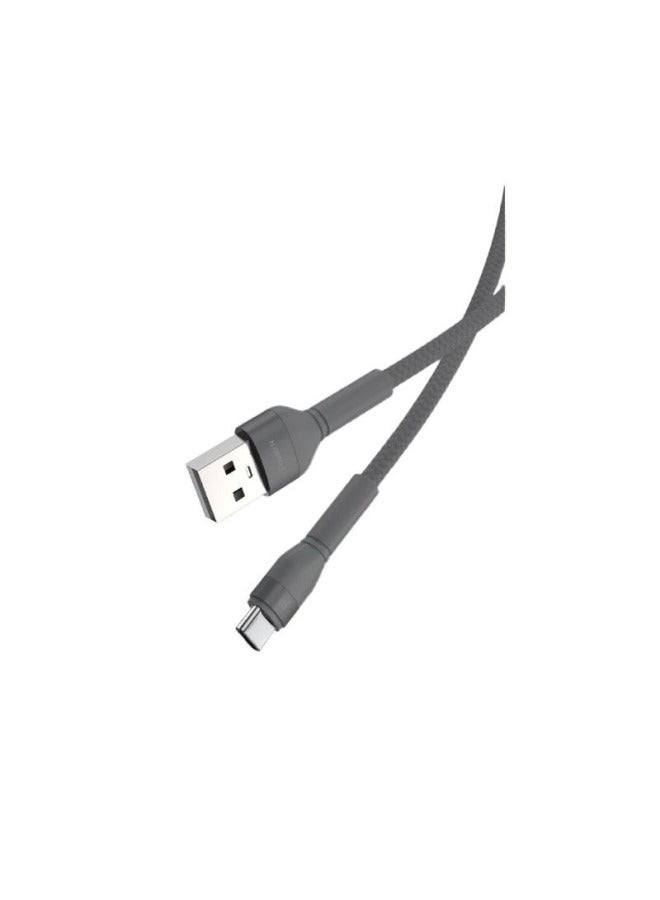 PowerN USB to Type-C Cable - 1.2 Meter - 60 W - Black