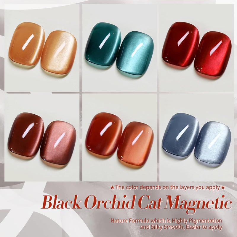 Born Pretty Magnetic Gel Nail Polish Water Light Cat Magnetic Eye Gel Black Orchid Jelly Glass Crystal Nail Polish Glitter Shimmer Auroras Nail Art Manicure Kit 6PCS - Image 2