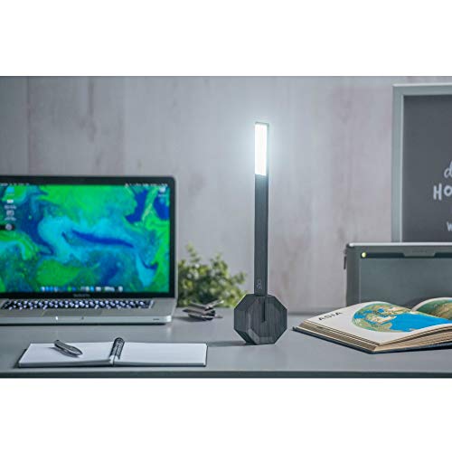 Gingko Octagon One Desk Lamp - Black, One Size - Image 4