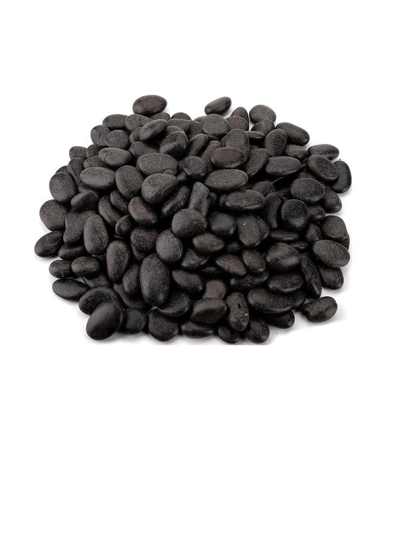6 Lbs Black Polished Pebbles, Natural Decorative Aquarium Gravel River Rock Polished Stones for Aquariums, Landscaping, Vase Fillers, Succulent, Garden - Image 1